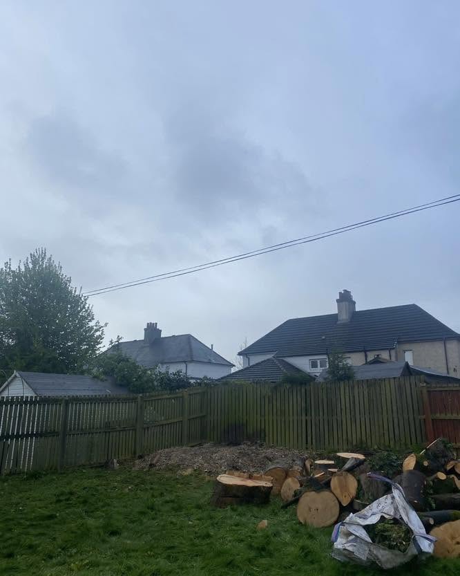 Clean, tidy completed site