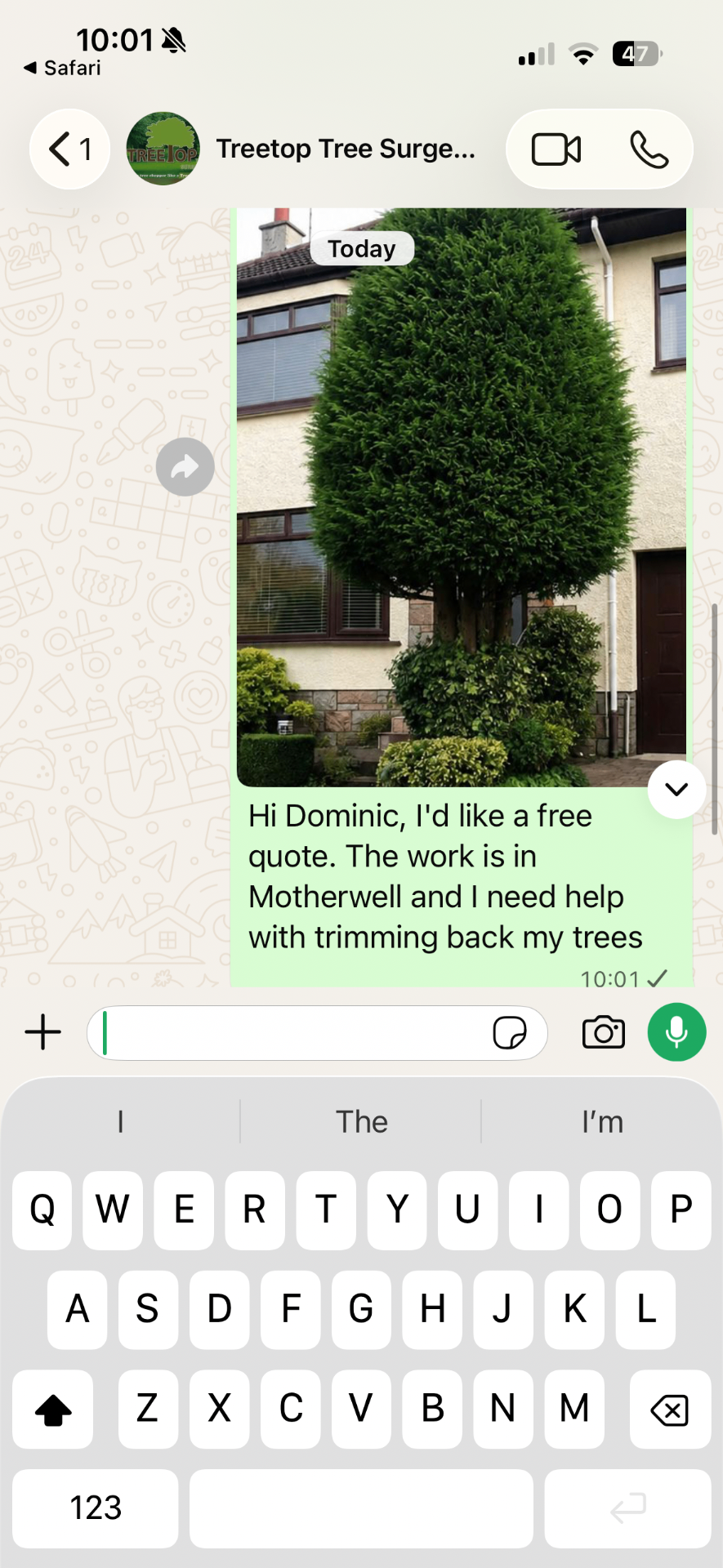 WhatsApp message a customer sent Treetop: a photo of a large evergreen tree with a request for help trimming back their trees in Motherwell