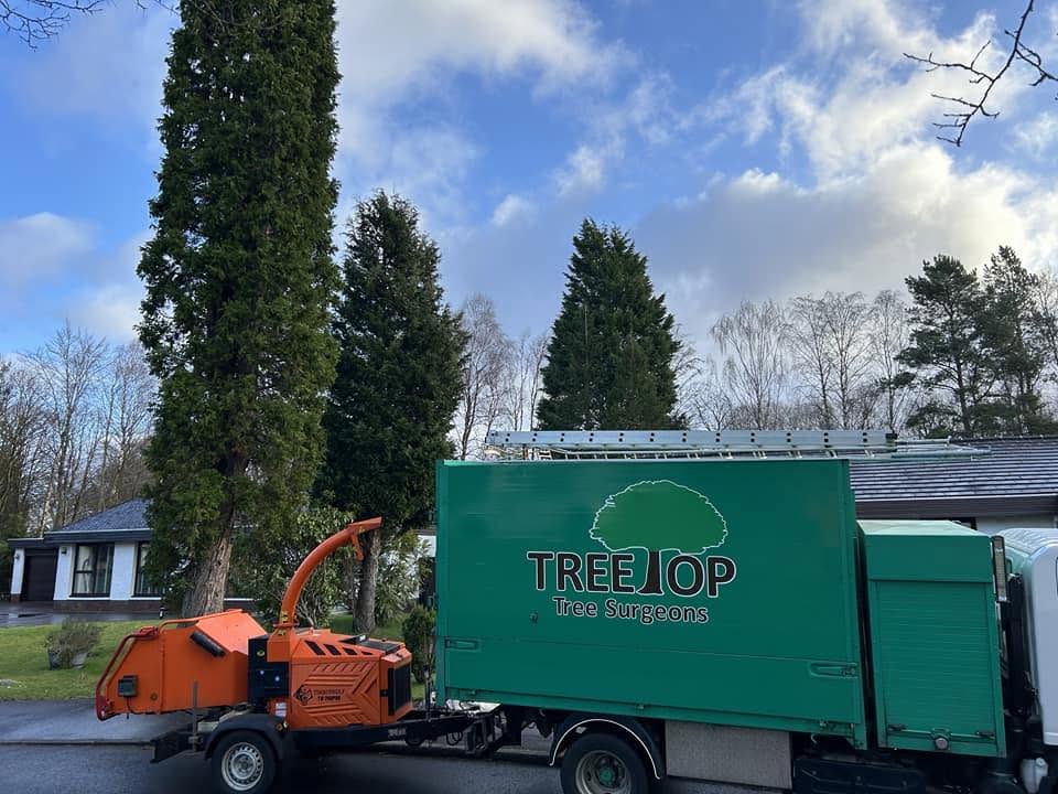 Treetop tipper truck and wood chipper on a driveway beside tall conifers