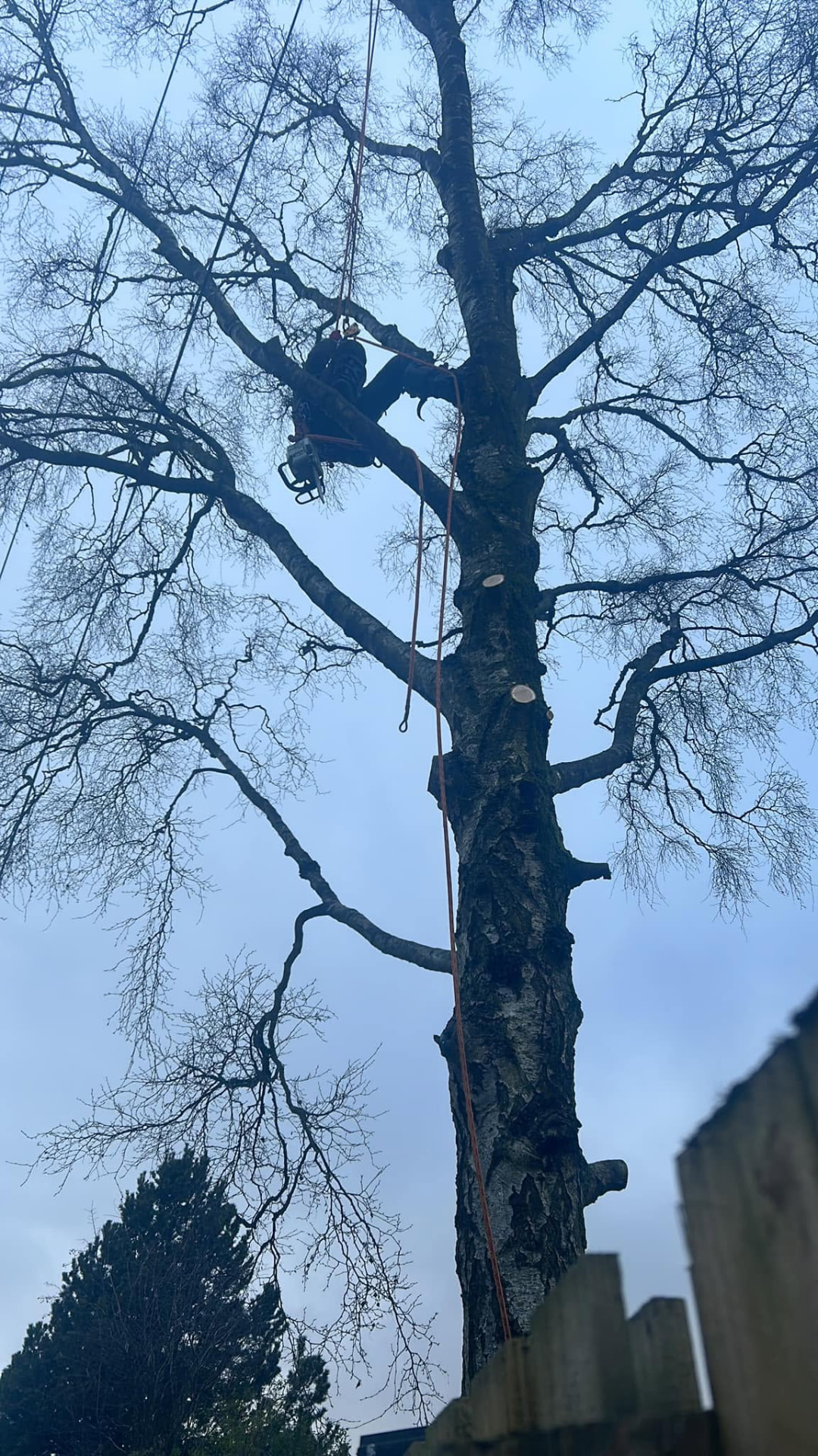 Climbing and rigging equipment in use