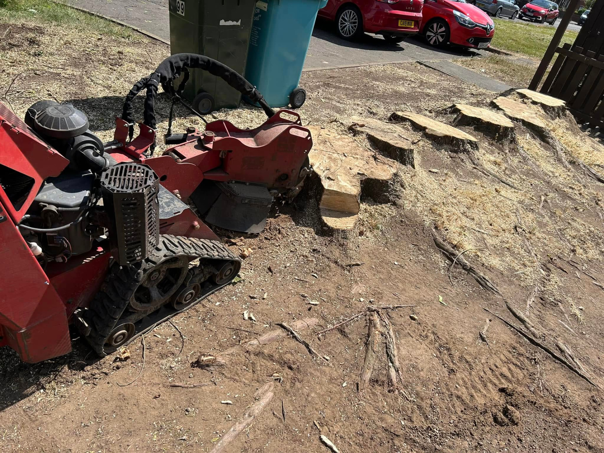 Tracked stump grinder removing a large tree stump beside a driveway